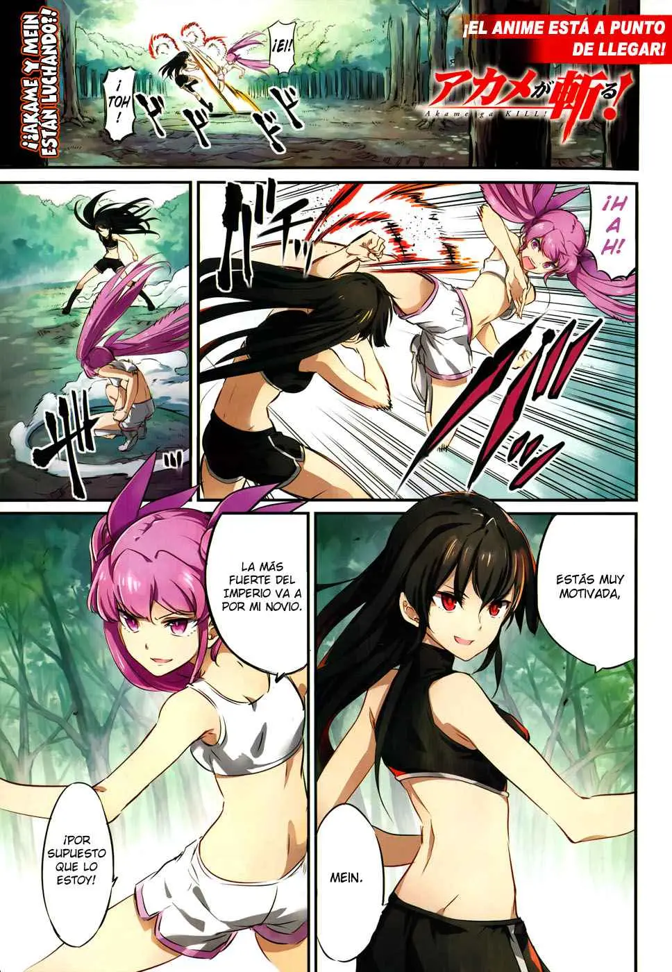 Akame ga Kill! capítulo 50, página 2