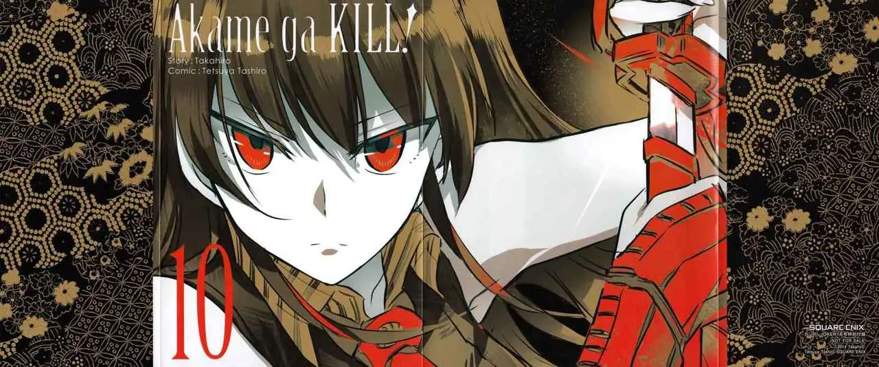Akame ga Kill! capítulo 50, página 49