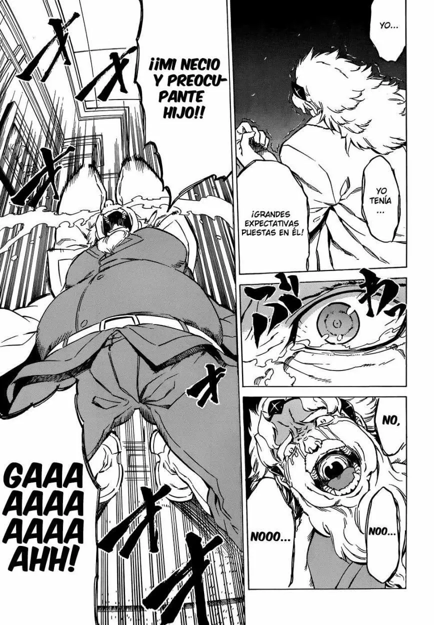 Akame ga Kill! capítulo 52.05, página 13