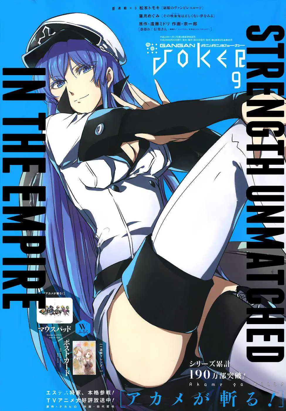 Akame ga Kill! capítulo 52, página 2
