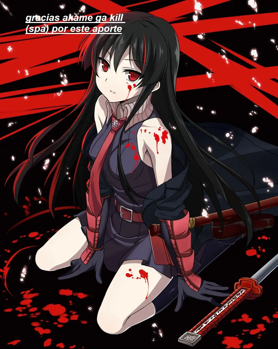 Akame ga Kill! capítulo 53.05, página 1