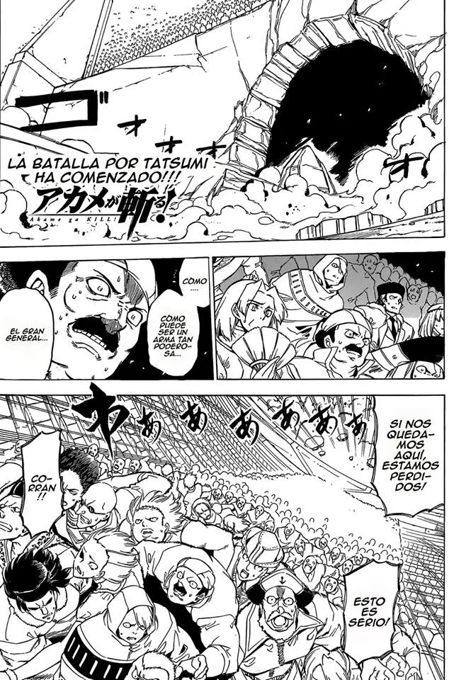 Akame ga Kill! capítulo 54, página 1