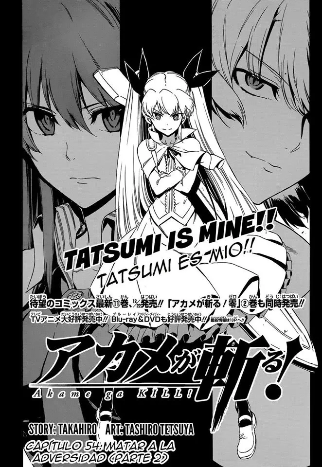 Akame ga Kill! capítulo 54, página 3