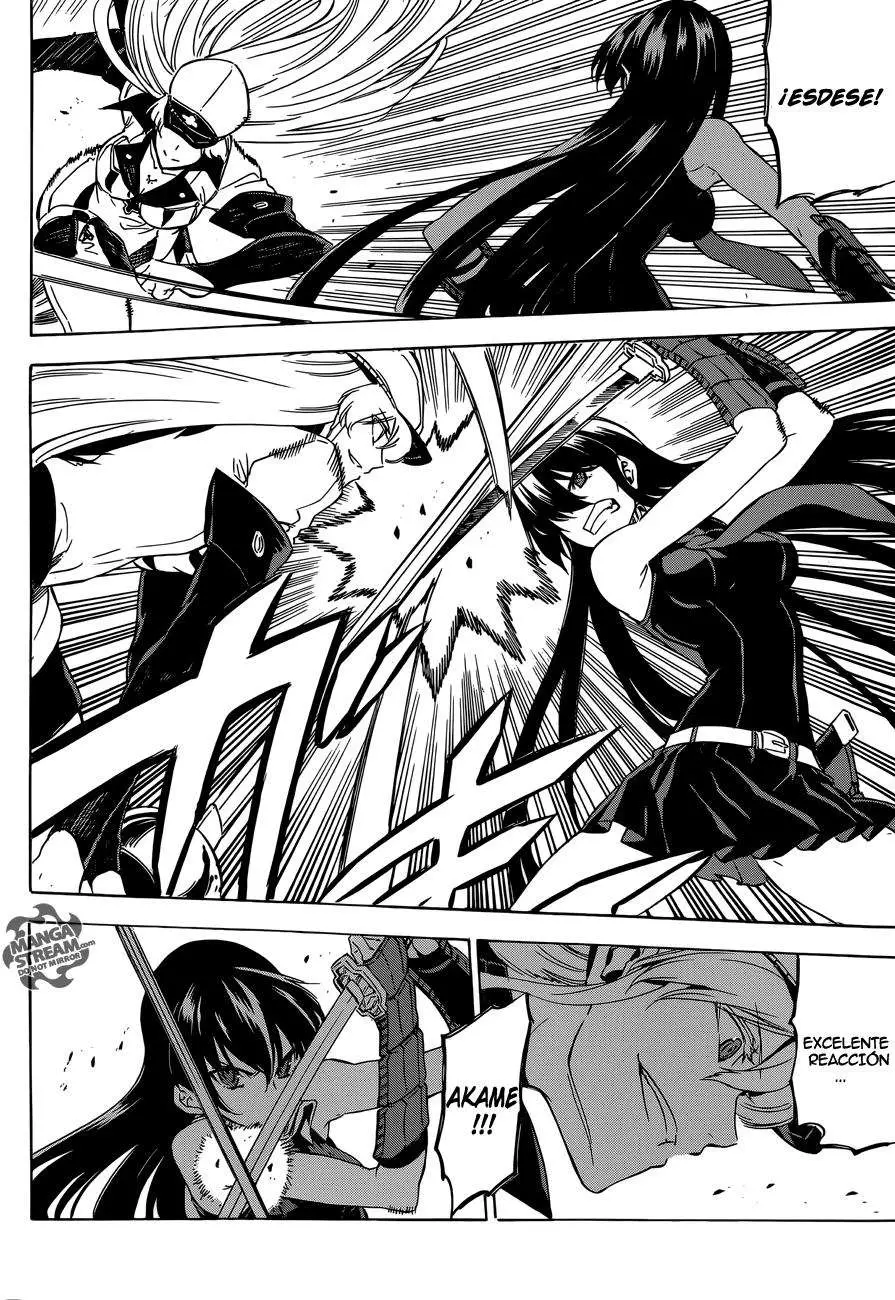 Akame ga Kill! capítulo 55, página 8
