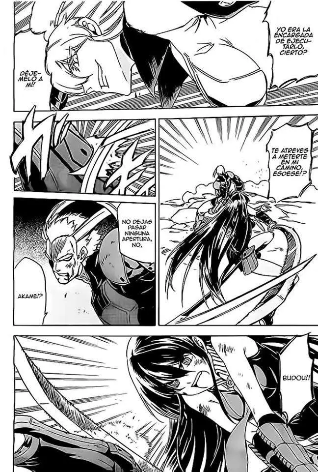 Akame ga Kill! capítulo 56, página 2