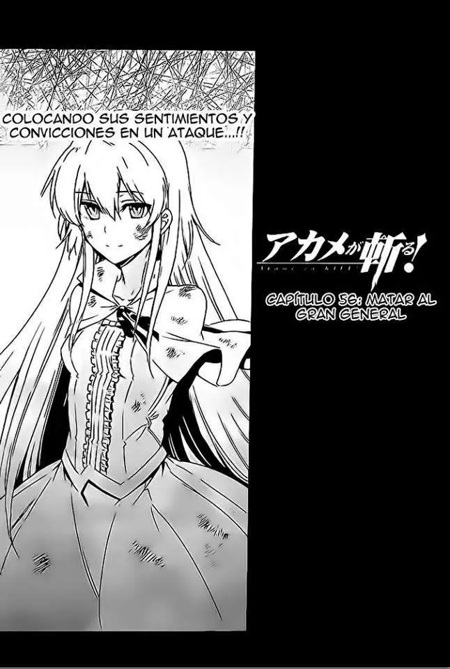 Akame ga Kill! capítulo 56, página 17