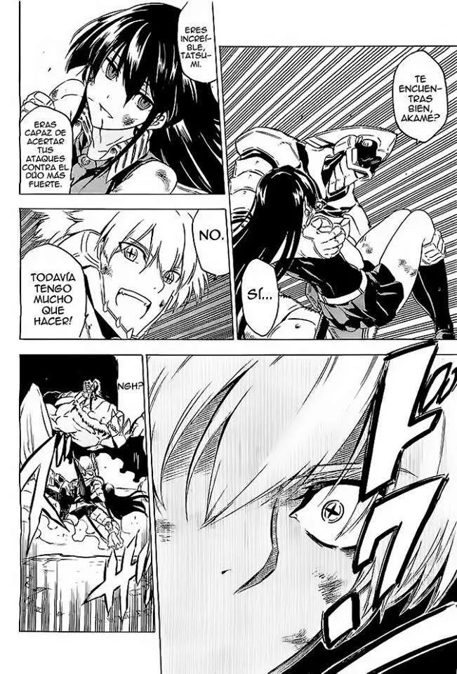 Akame ga Kill! capítulo 56, página 28