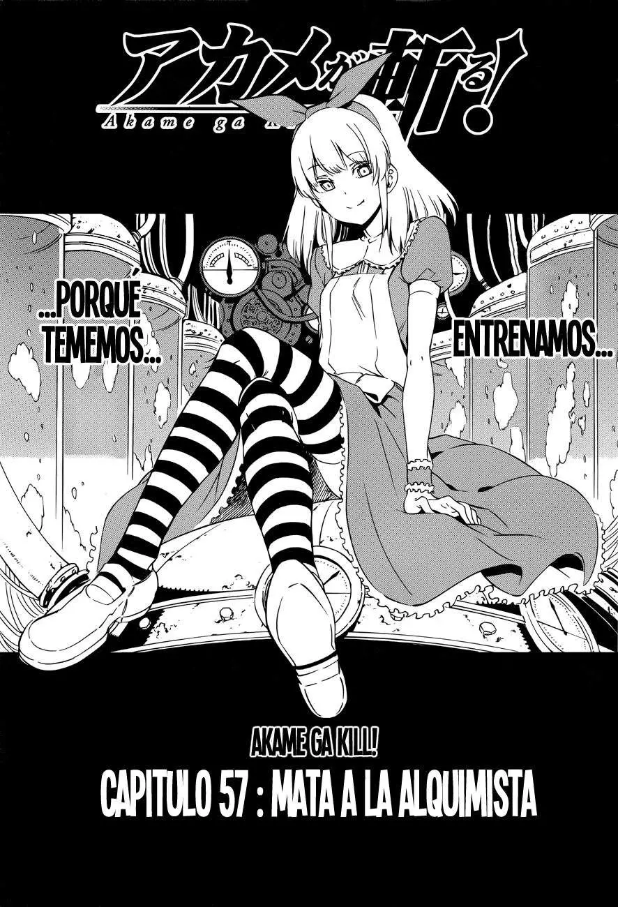 Akame ga Kill! capítulo 57, página 2