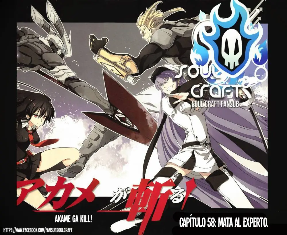 Akame ga Kill! capítulo 58, página 1