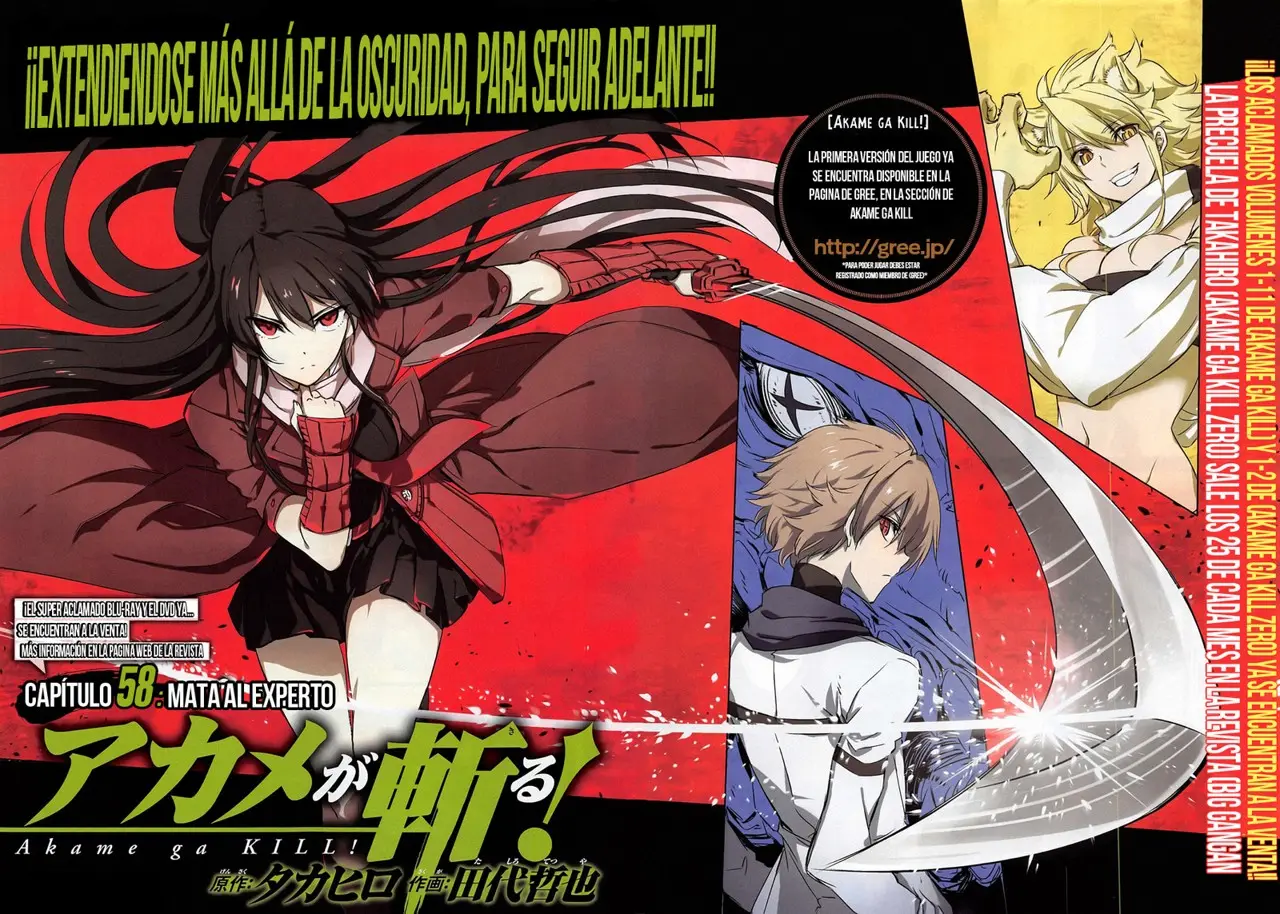 Akame ga Kill! capítulo 58, página 4