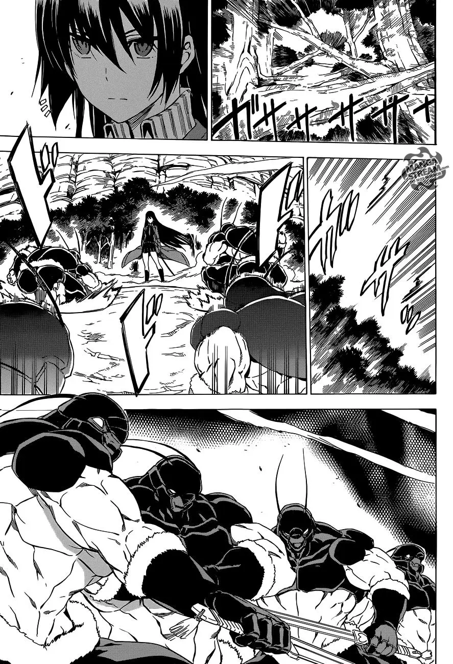 Akame ga Kill! capítulo 58, página 42