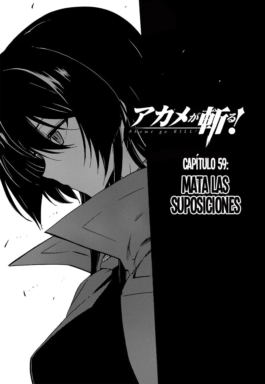 Akame ga Kill! capítulo 59, página 2