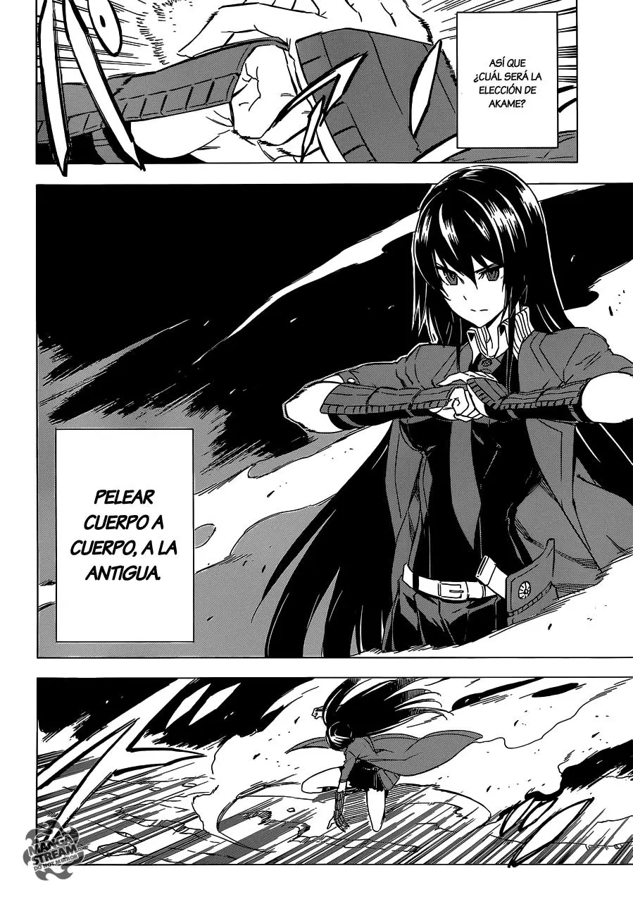 Akame ga Kill! capítulo 59, página 11