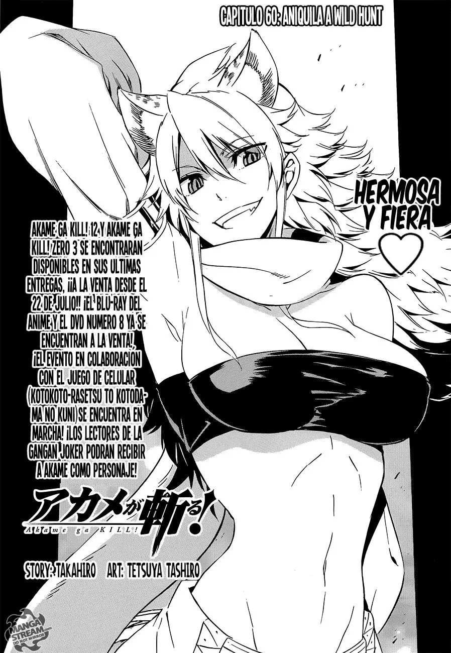 Akame ga Kill! capítulo 60, página 2