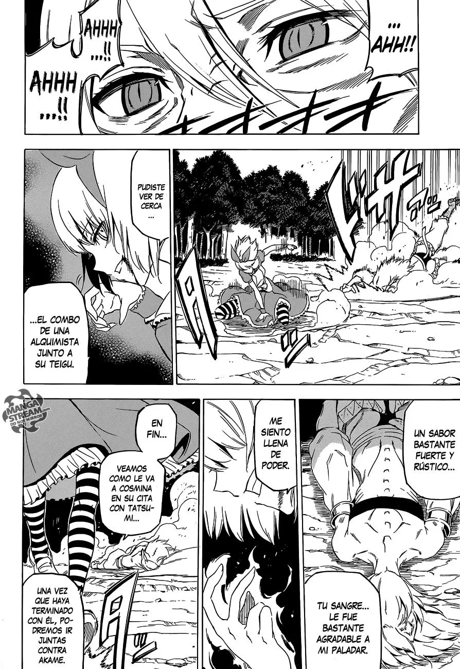 Akame ga Kill! capítulo 60, página 11