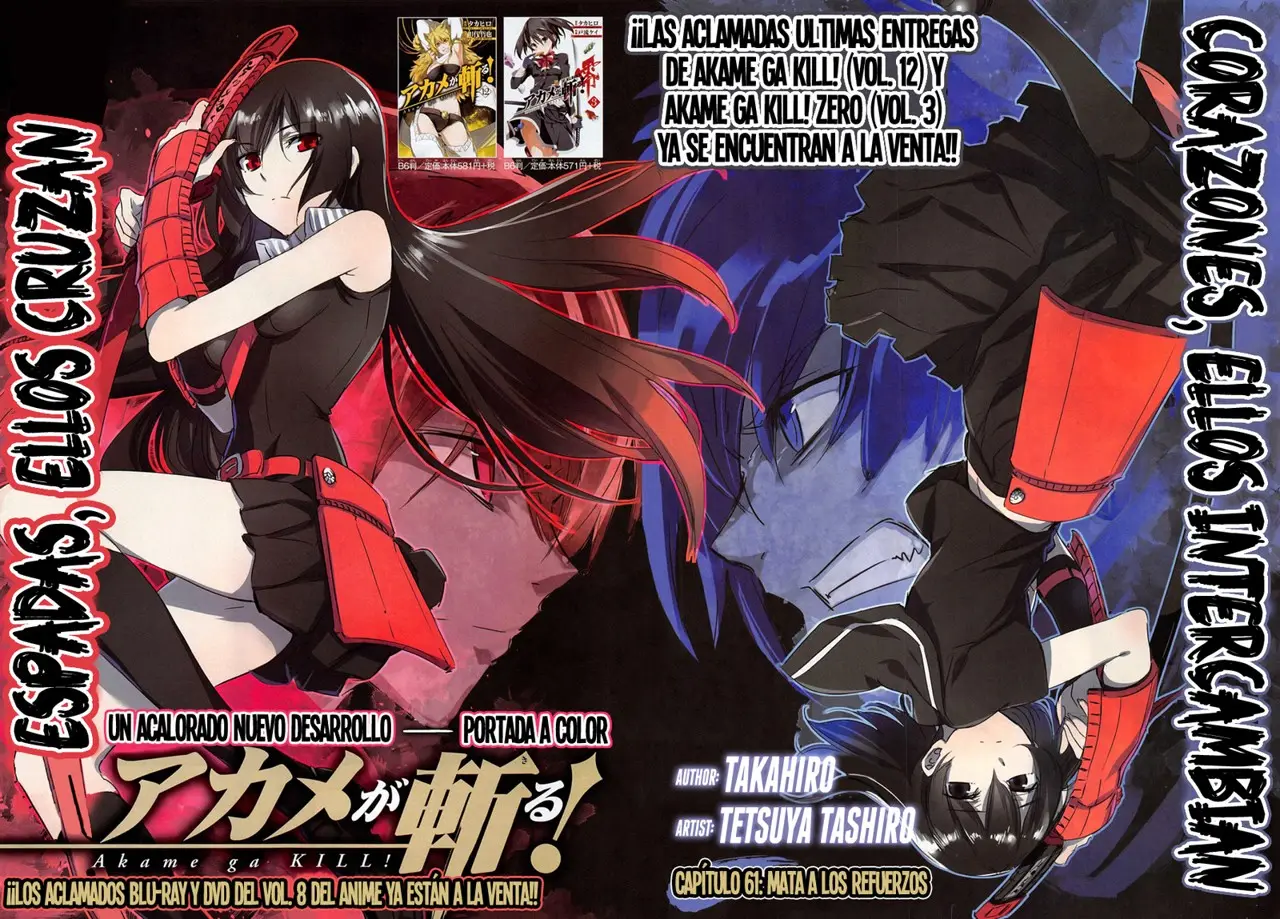 Akame ga Kill! capítulo 61, página 3