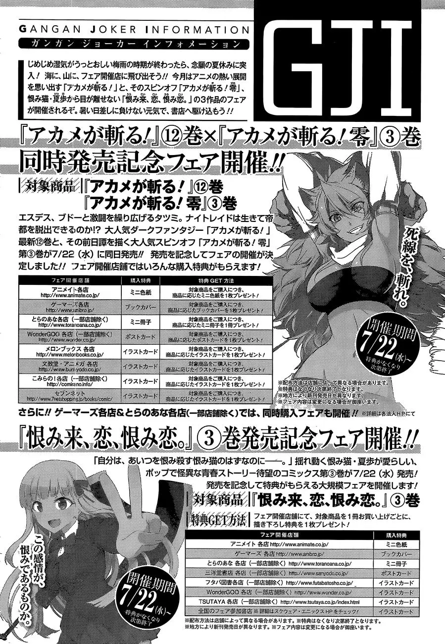 Akame ga Kill! capítulo 61, página 39