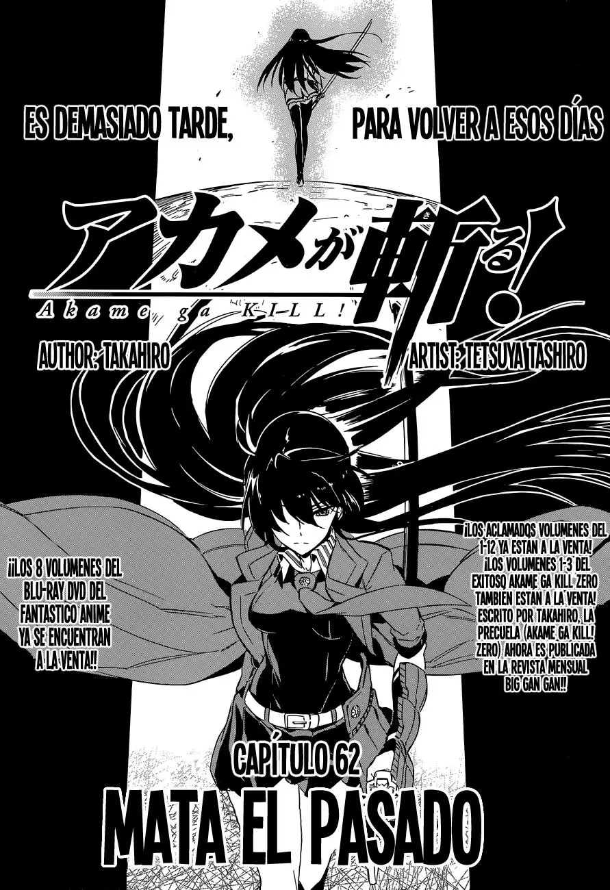 Akame ga Kill! capítulo 62, página 3