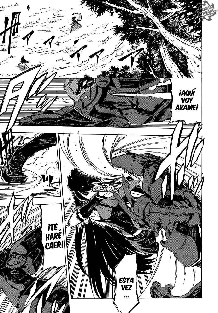 Akame ga Kill! capítulo 62, página 4