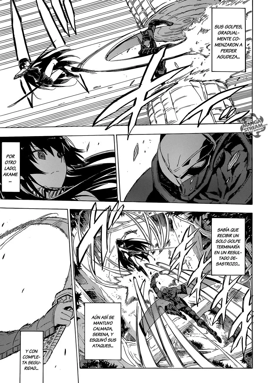 Akame ga Kill! capítulo 62, página 14