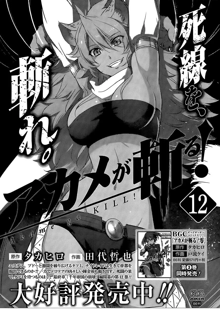 Akame ga Kill! capítulo 62, página 50