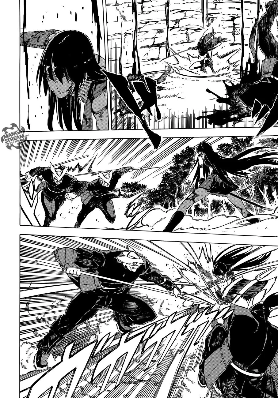 Akame ga Kill! capítulo 63, página 29