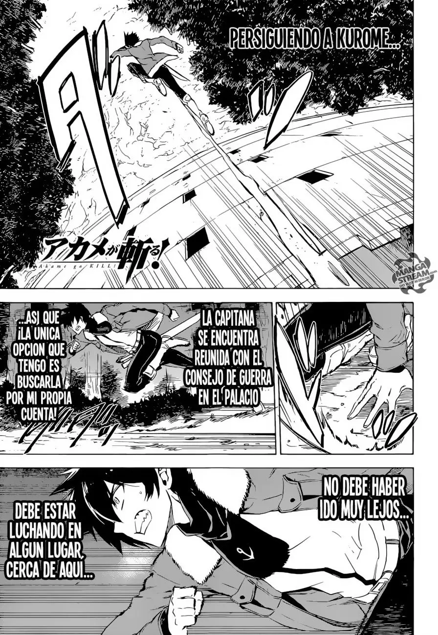 Akame ga Kill! capítulo 65, página 2