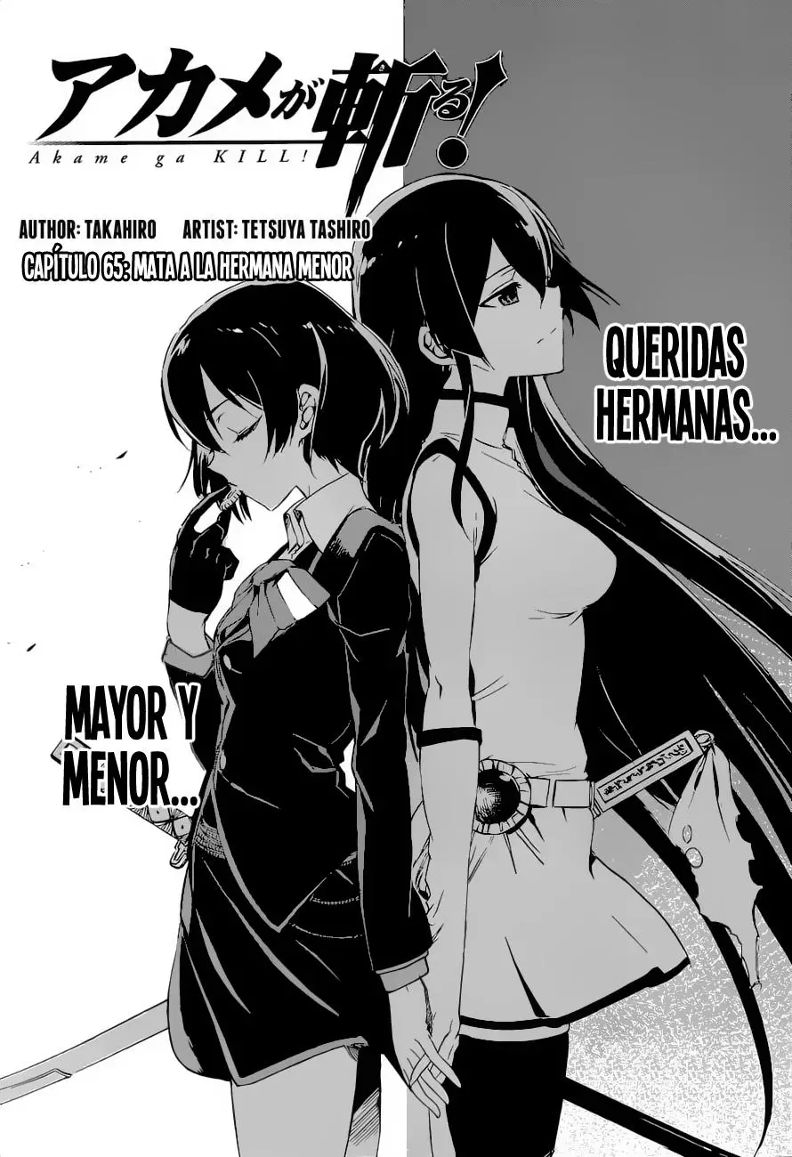 Akame ga Kill! capítulo 65, página 4