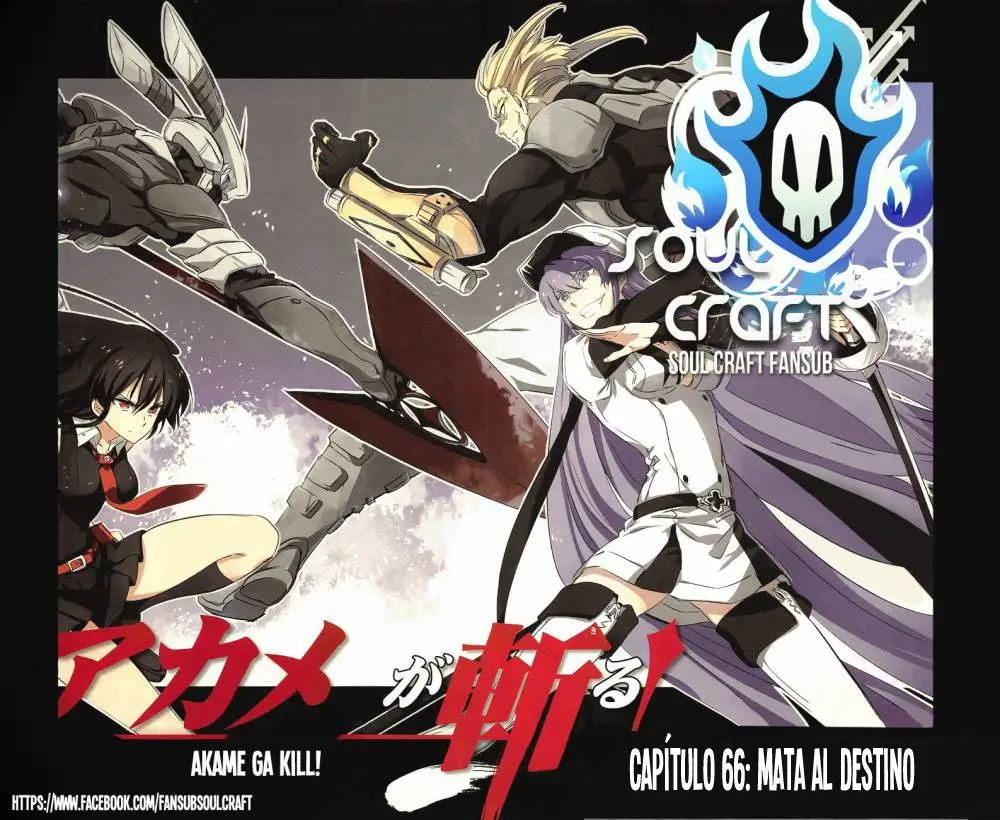 Akame ga Kill! capítulo 66, página 1
