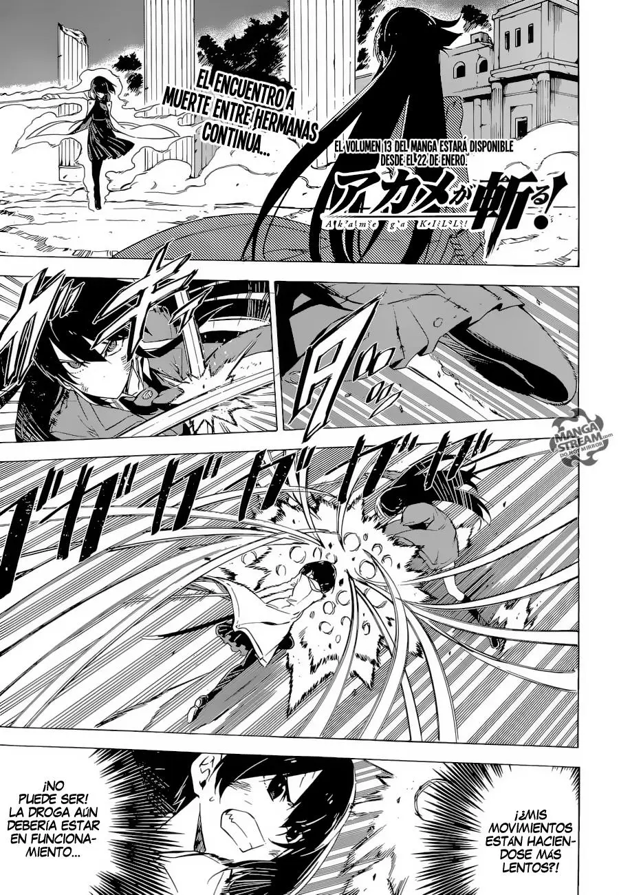 Akame ga Kill! capítulo 66, página 2