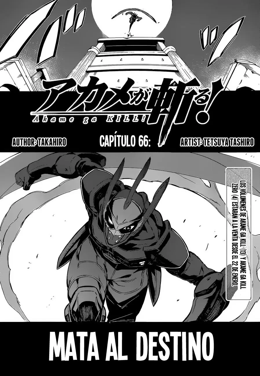 Akame ga Kill! capítulo 66, página 5