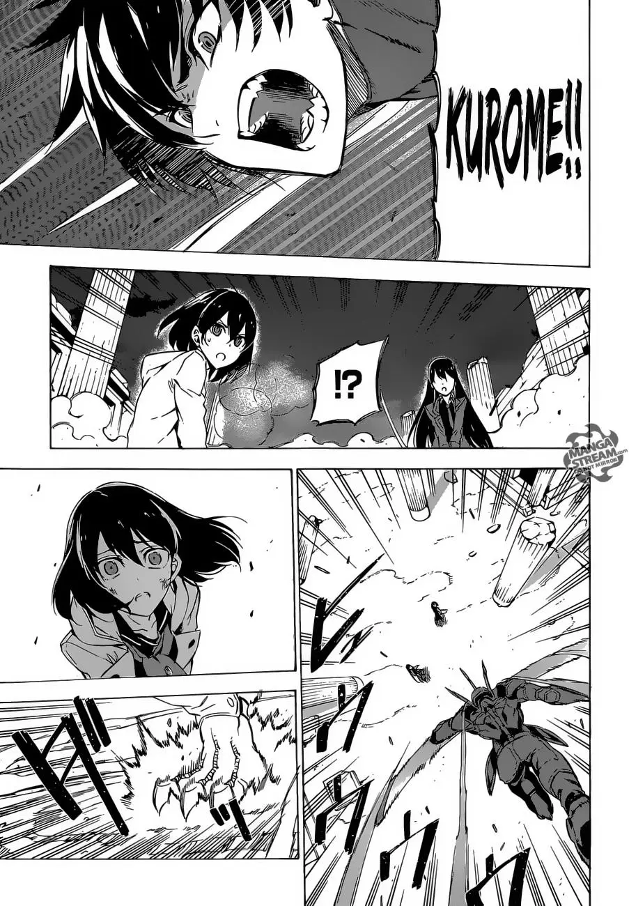 Akame ga Kill! capítulo 66, página 6
