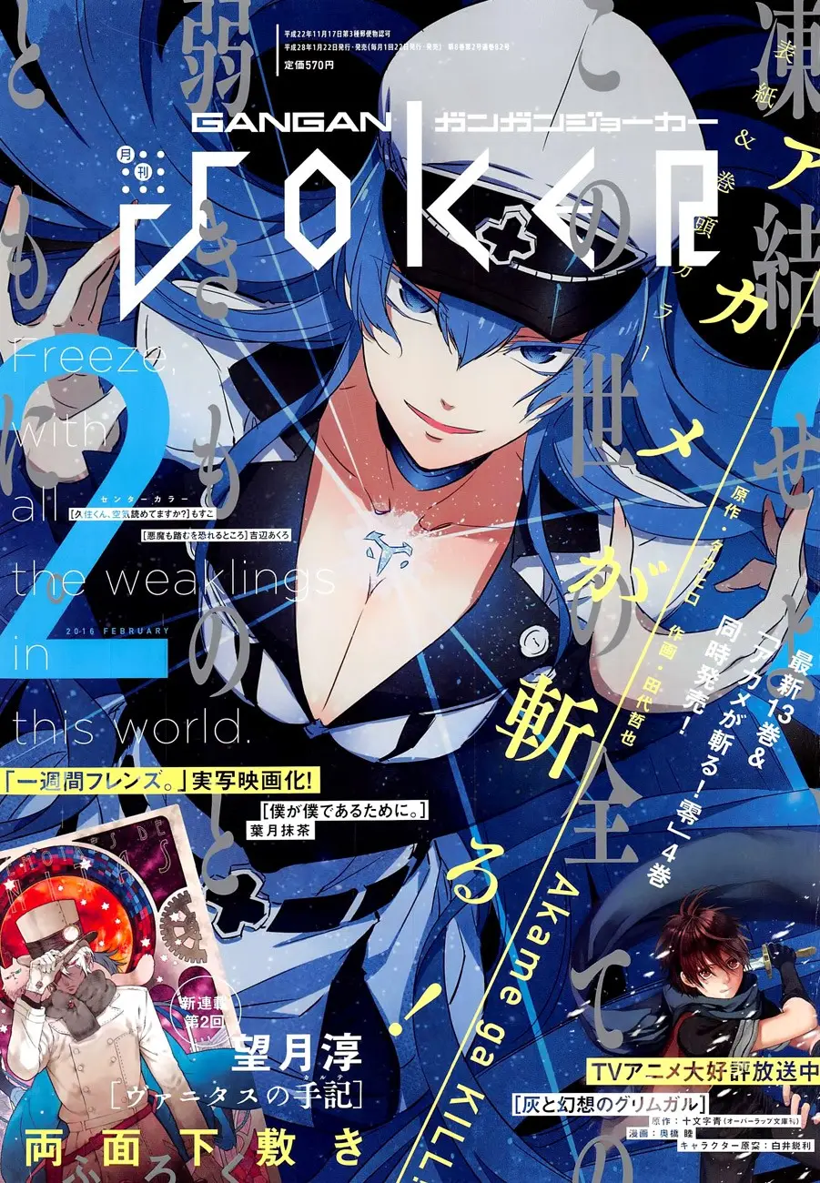 Akame ga Kill! capítulo 67, página 2