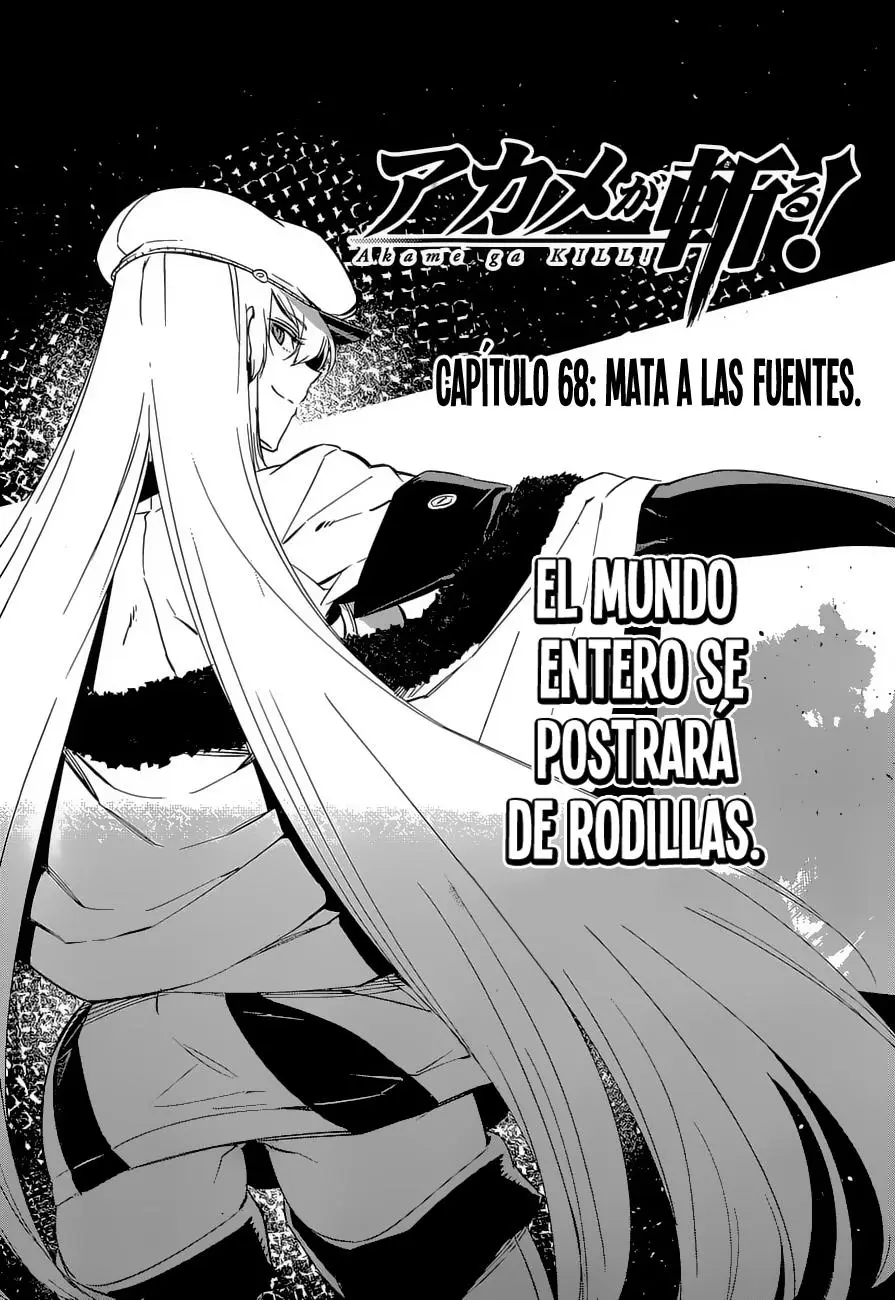 Akame ga Kill! capítulo 68, página 4