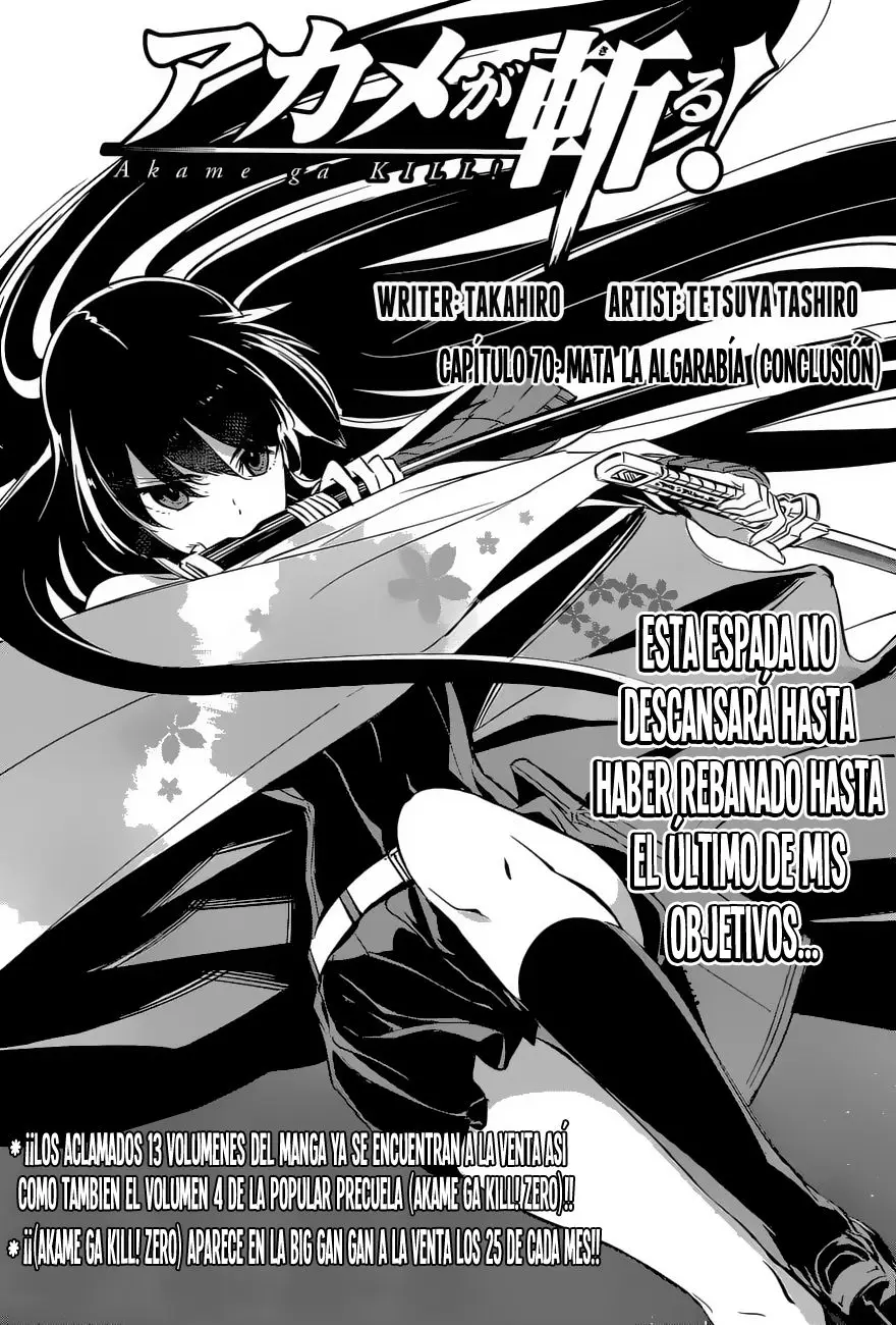 Akame ga Kill! capítulo 70, página 4