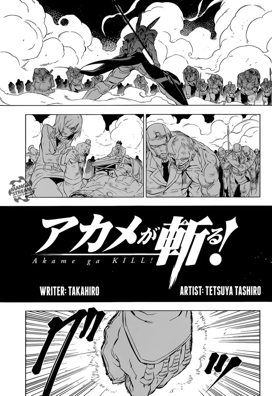 Akame ga Kill! capítulo 71, página 6