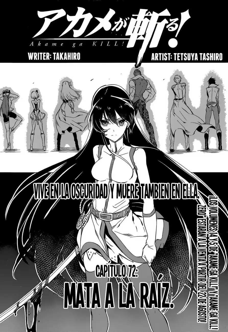 Akame ga Kill! capítulo 72, página 3