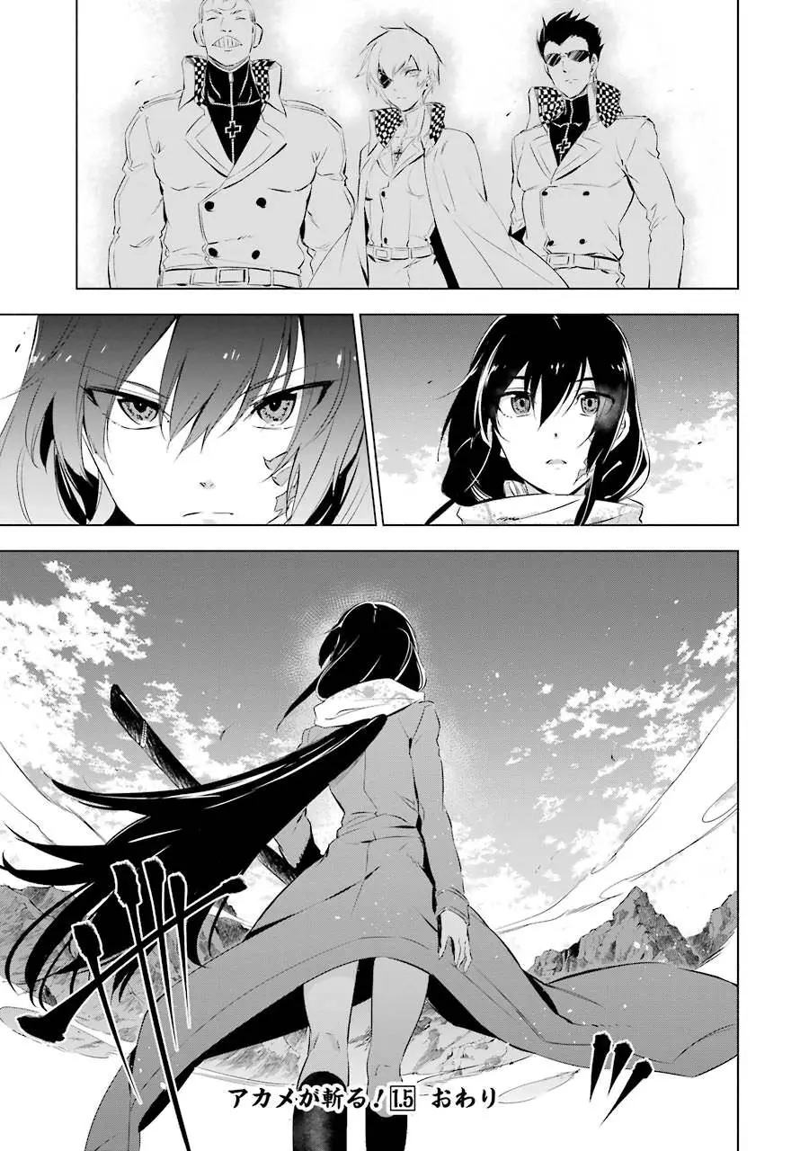 Akame ga Kill! capítulo 78.5, página 19