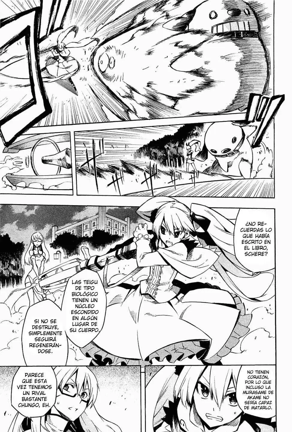 Akame ga Kill! capítulo 9, página 13