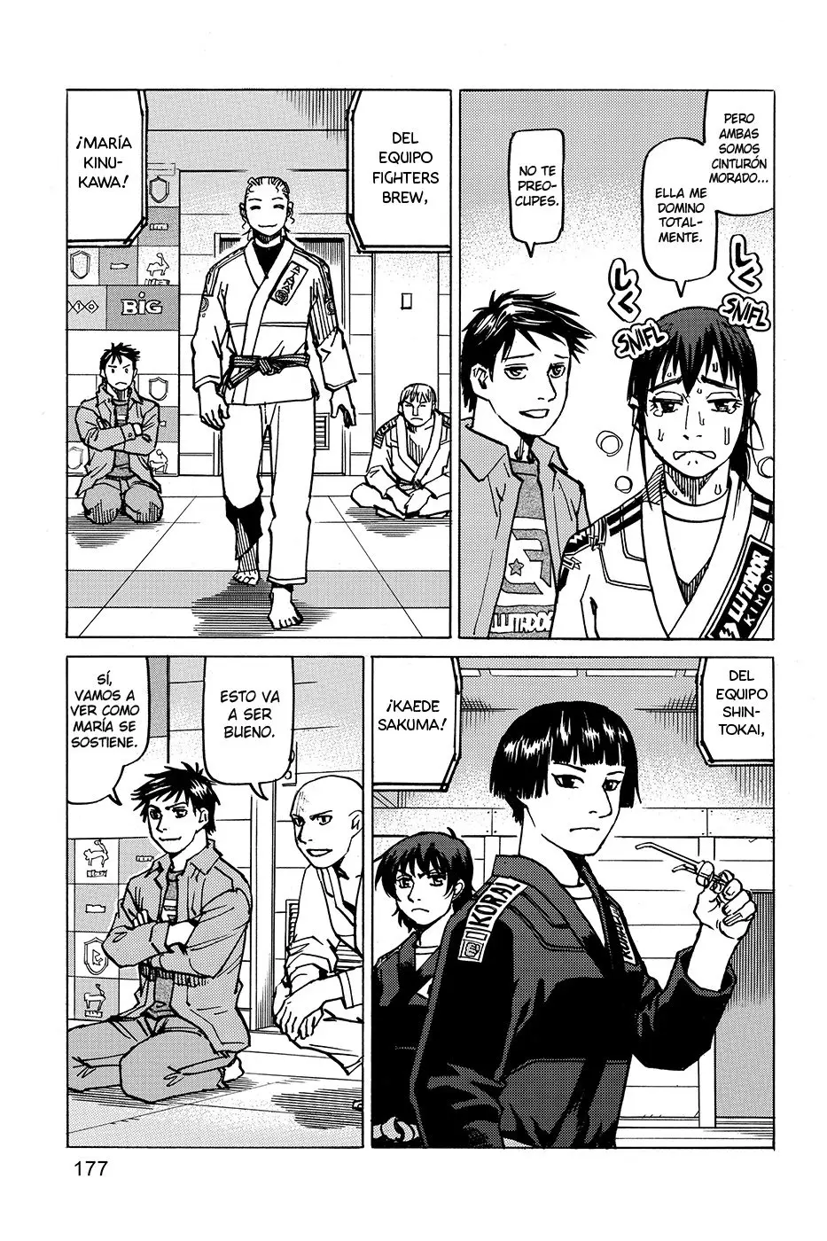 All Rounder Meguru capítulo 175.5, página 17
