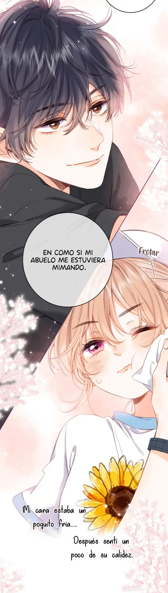 Amor Oculto capítulo 27, página 17