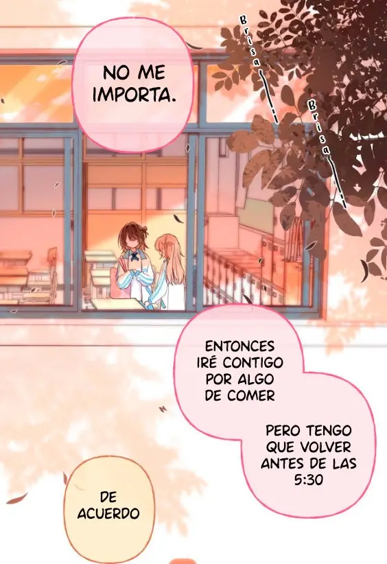 Amor Oculto capítulo 29, página 17