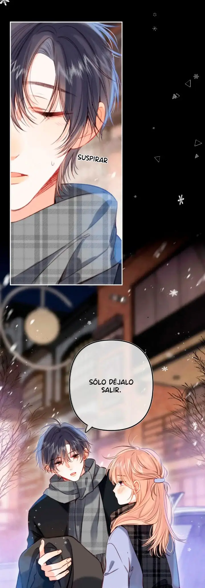 Amor Oculto capítulo 64, página 14