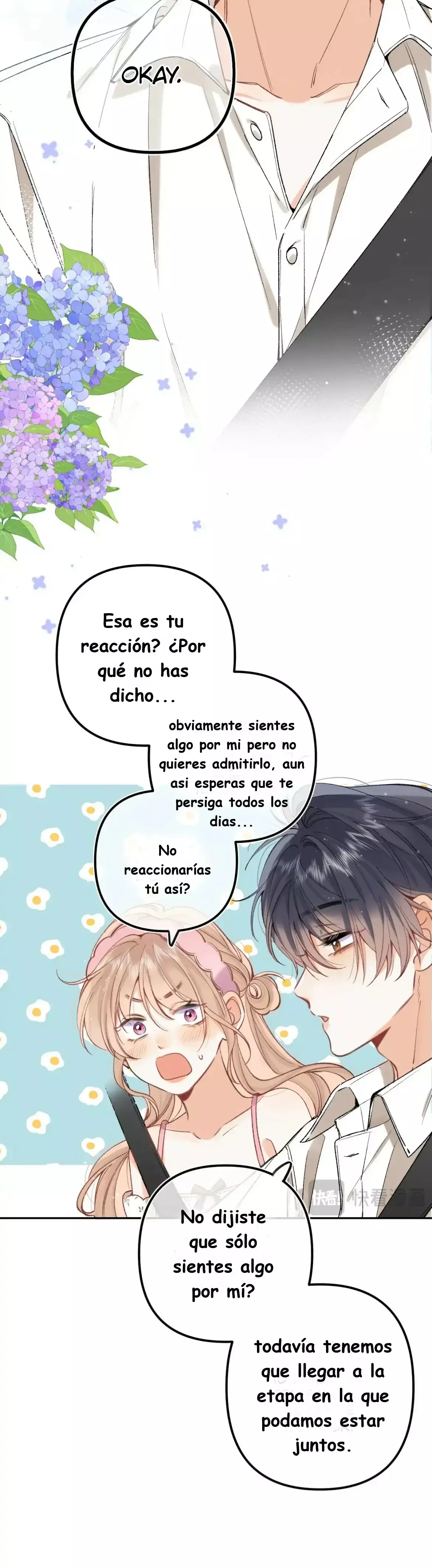Amor Oculto capítulo 92, página 13