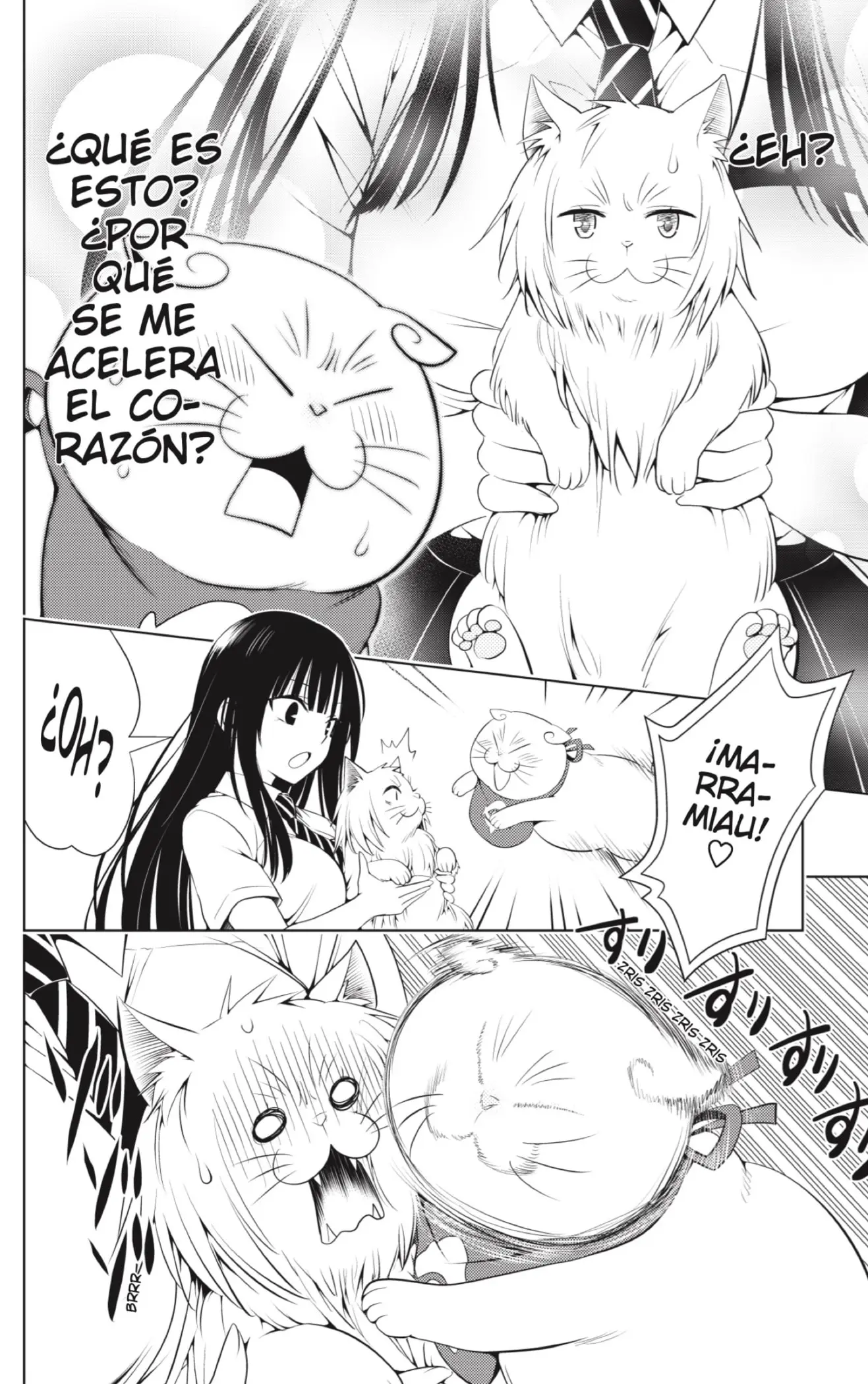Ayakashi Triangle capítulo 105, página 6