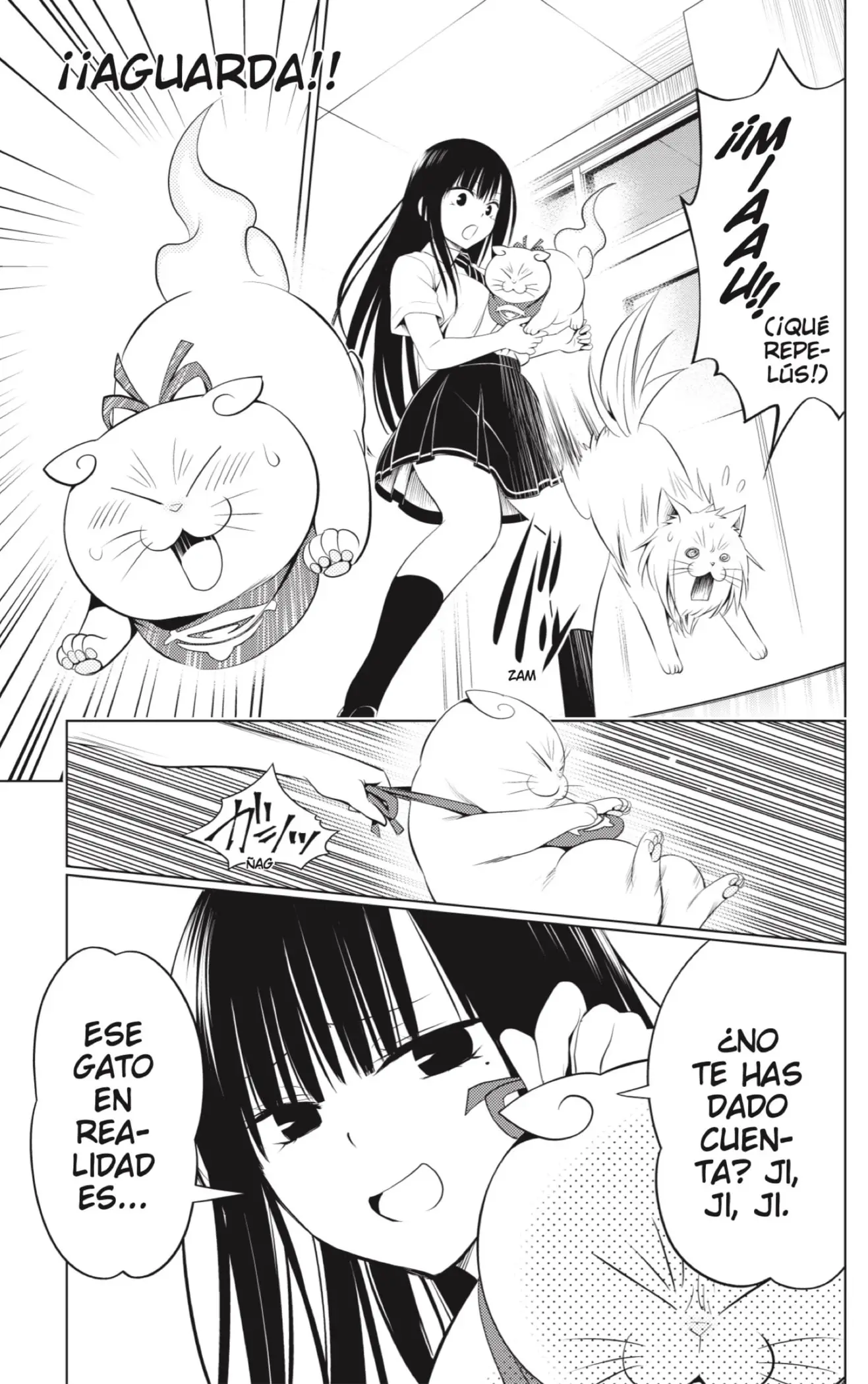 Ayakashi Triangle capítulo 105, página 7