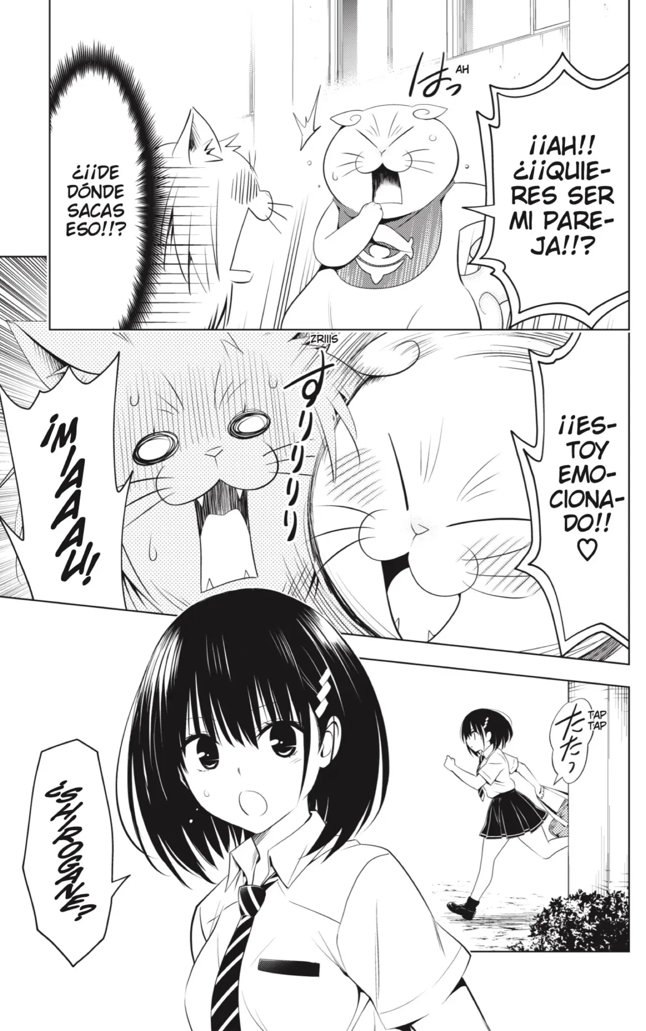 Ayakashi Triangle capítulo 105, página 11