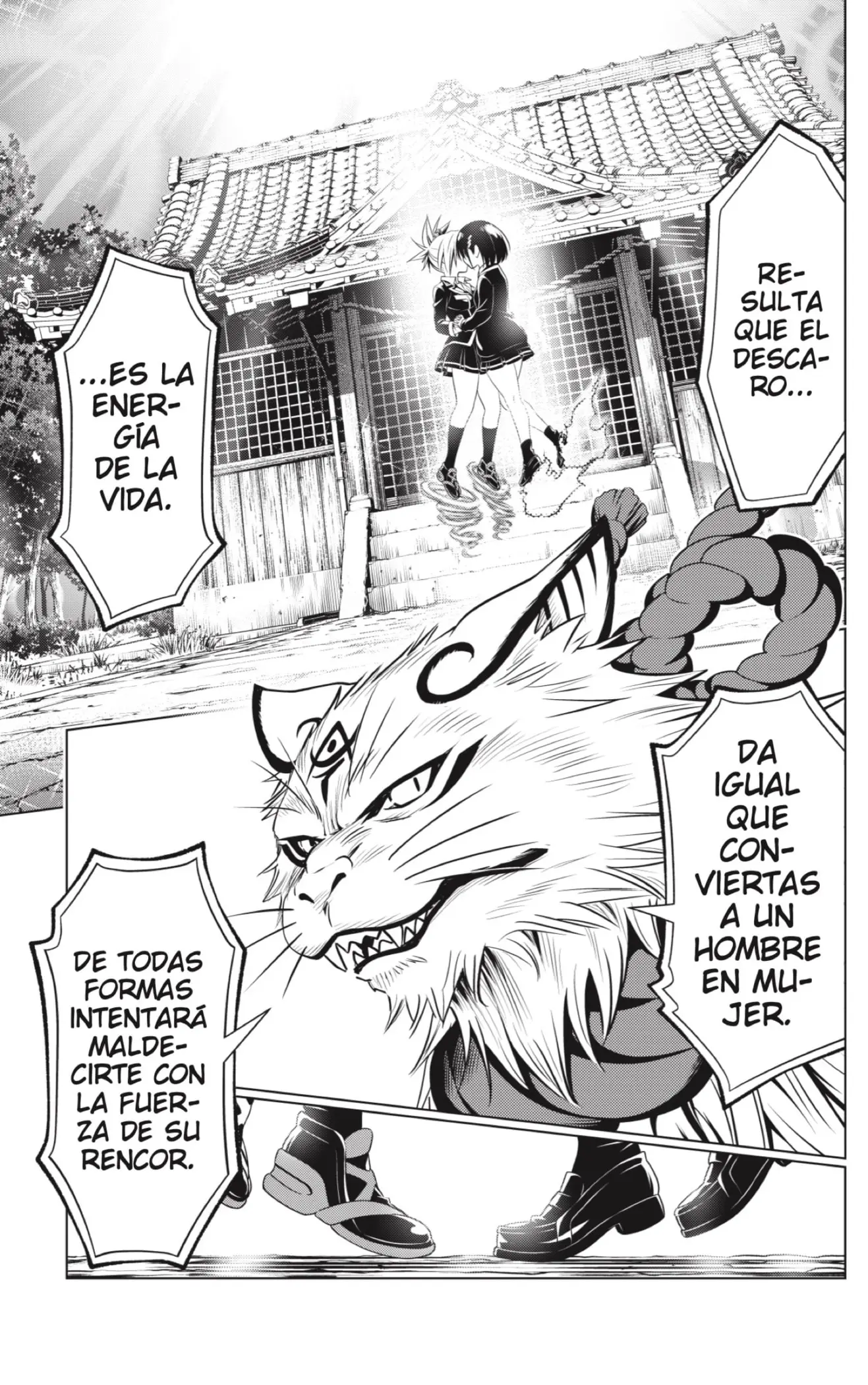 Ayakashi Triangle capítulo 142, página 11