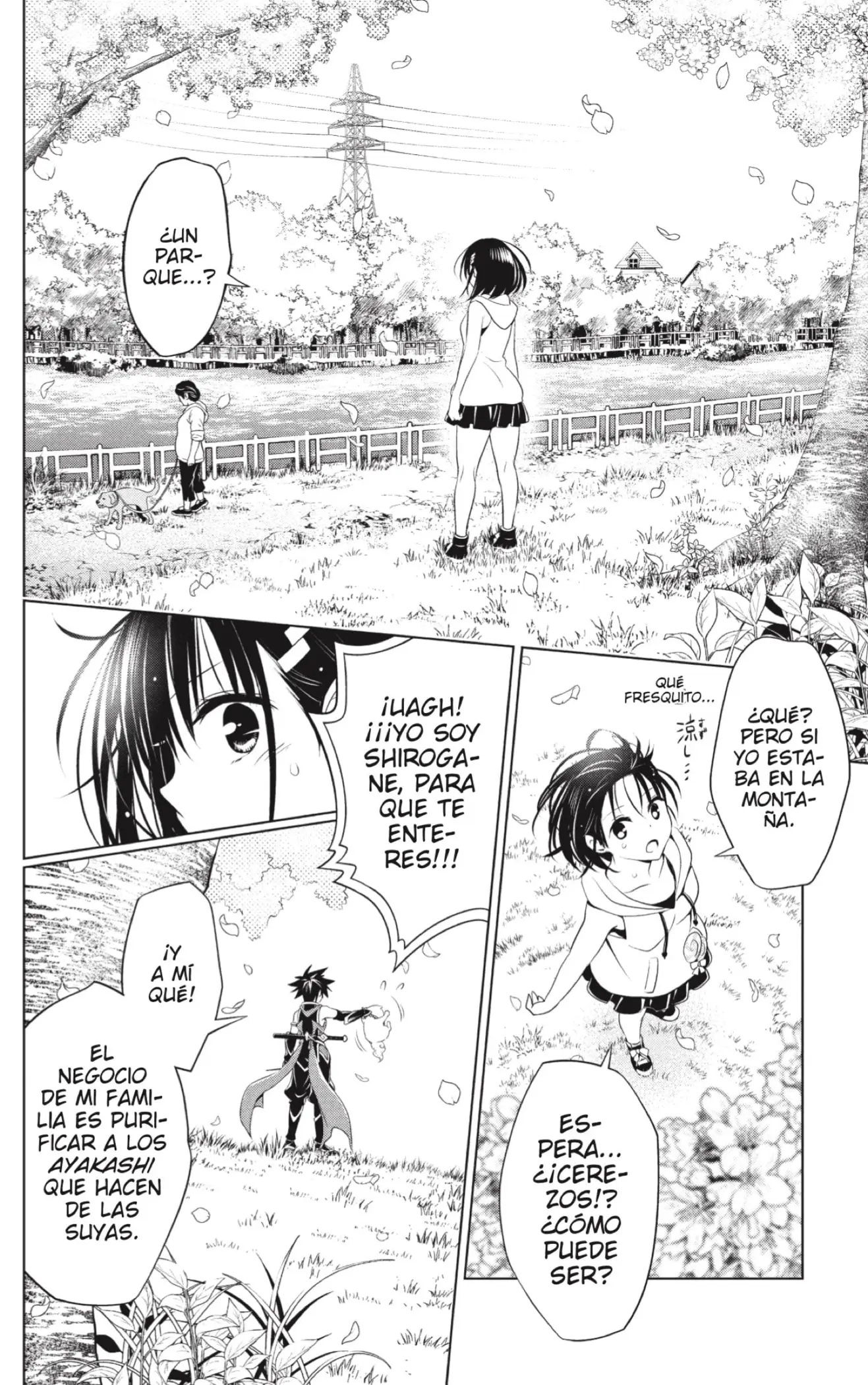 Ayakashi Triangle capítulo 87, página 6