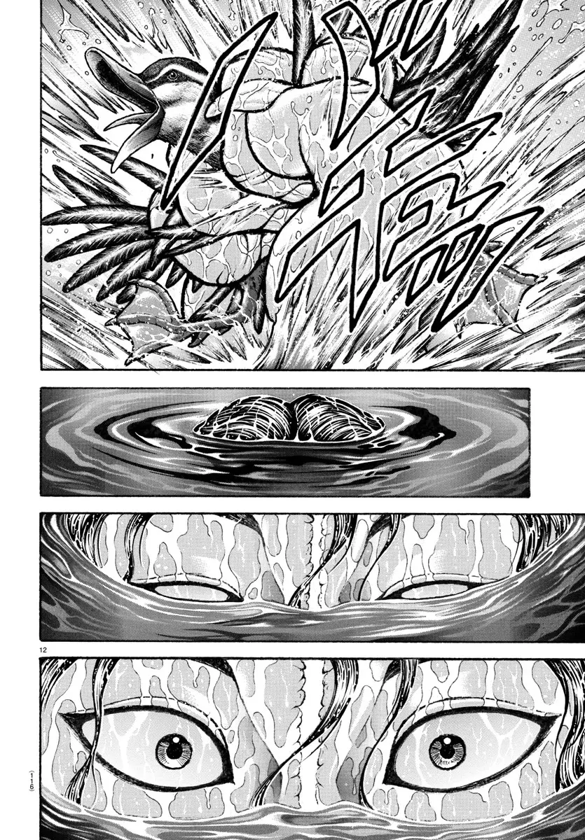 Baki Dou capítulo 151, página 17